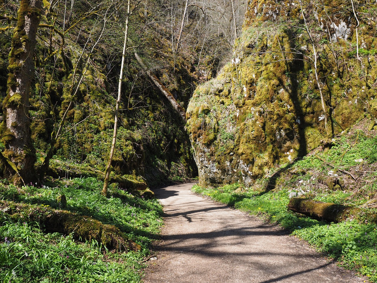 Vilkų Slėnis, Žygis, Toli, Takas, Swabian Alb, Žygiai, Kraštovaizdis, Baden Württemberg, Gorge, Eng