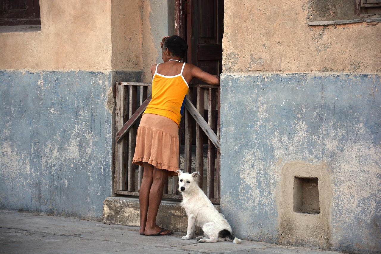Moteris, Šuo, Kuba, Kaimyno Pokalbis, Asmuo, Nemokamos Nuotraukos,  Nemokama Licenzija