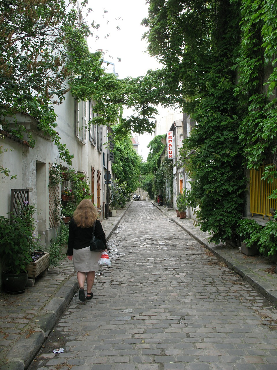 Moteris, Vaikščioti, Apsipirkimas, Paris, France, Pusė, Gatvė, Akmeninis Akmuo, Architektūra, Europietis