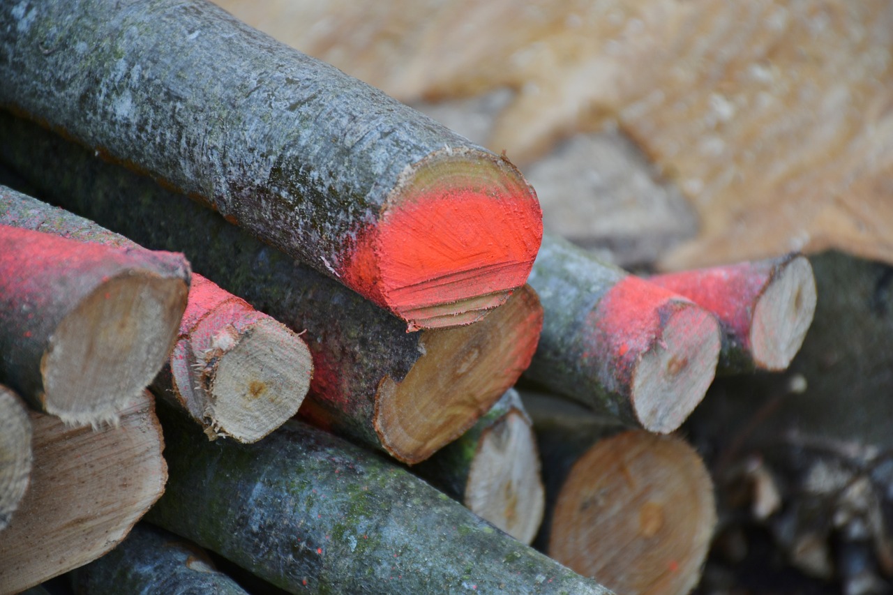 Mediena, Malkos, Holzstapel, Pjauna, Žurnalas, Sukrauti, Saugojimas, Padermės, Sukrauti, Gamta