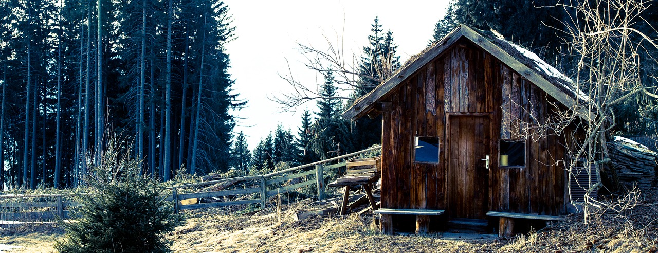 Mediena, Namelis, Miškas, Vienišas, Palikti, Out, Skilimas, Miškai, Skalė, Lentos