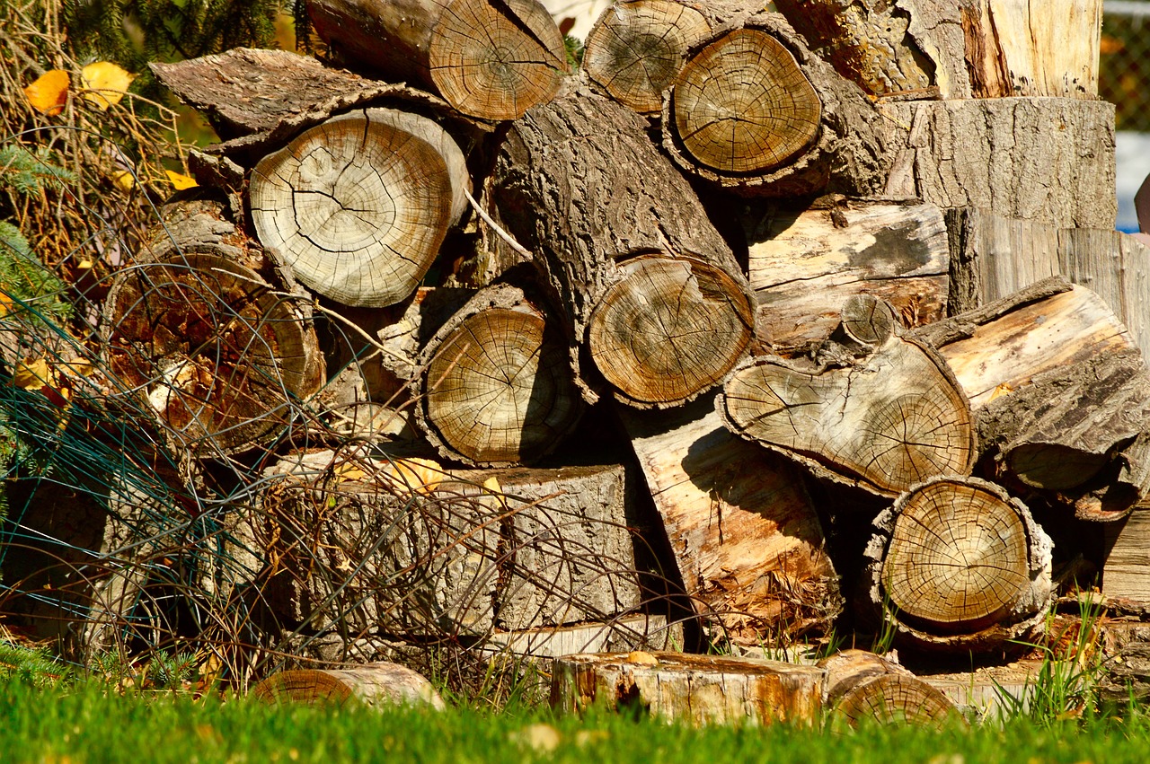 Mediena, Krūva, Woodpile, Malkos, Rąstai, Sukrauti, Krūva, Krūva, Supjaustyti, Mediena