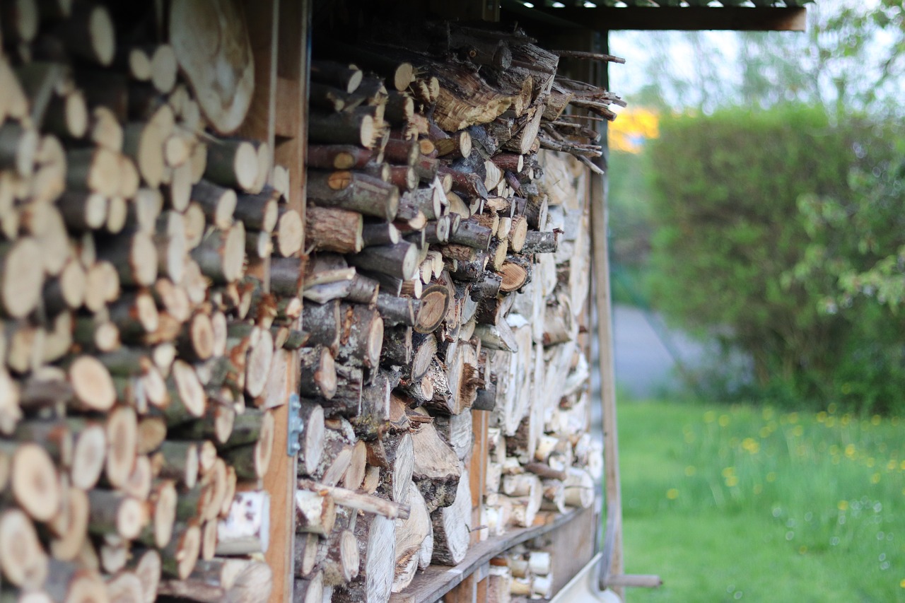 Mediena, Krūva, Malkos, Medis, Medžiaga, Woodpile, Medinis, Žaliavinis, Supjaustyti, Nemokamos Nuotraukos