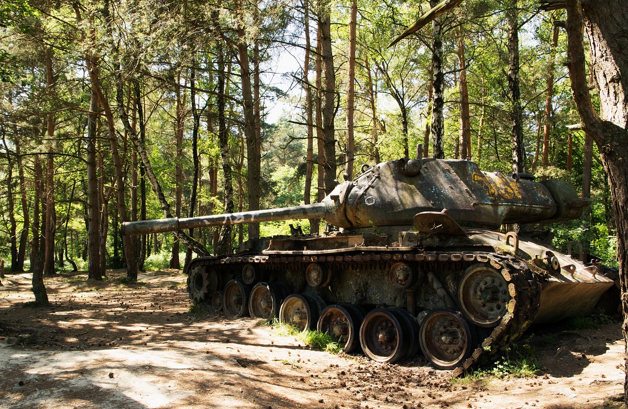 Mediena,  Medis,  Gamta,  Armija,  Kariuomenė,  Be Honoraro Mokesčio, Nemokamos Nuotraukos,  Nemokama Licenzija