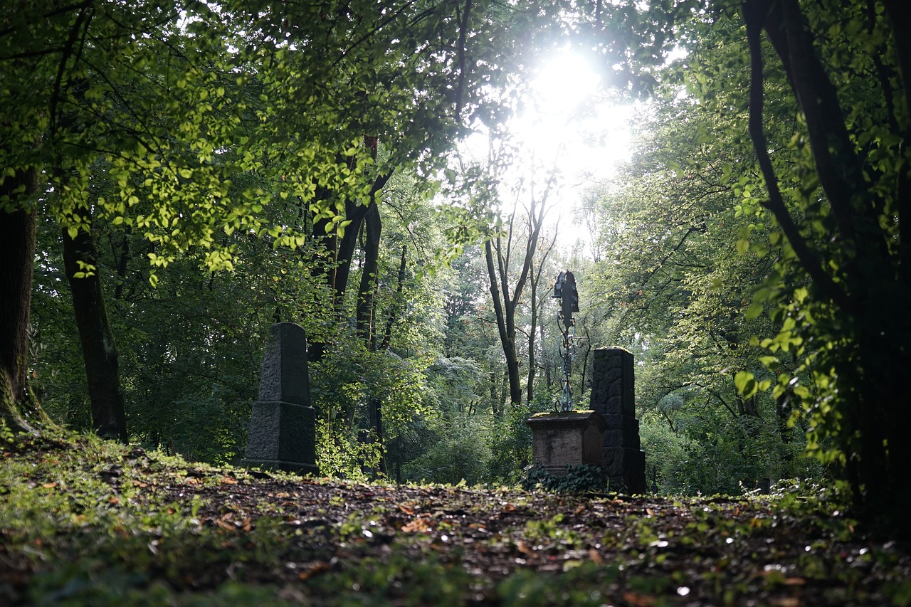 Mediena,  Medis,  Gamta,  Lapai,  Be Honoraro Mokesčio, Nemokamos Nuotraukos,  Nemokama Licenzija