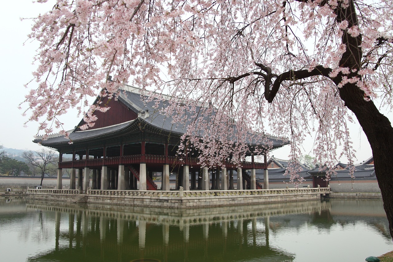 Mediena,  Parkas,  Ežeras,  Vandens Kūno,  Pobūdį,  Gyeongbok Rūmai,  Gyeonghoeru,  Korėja,  Seulas,  Tradicinis