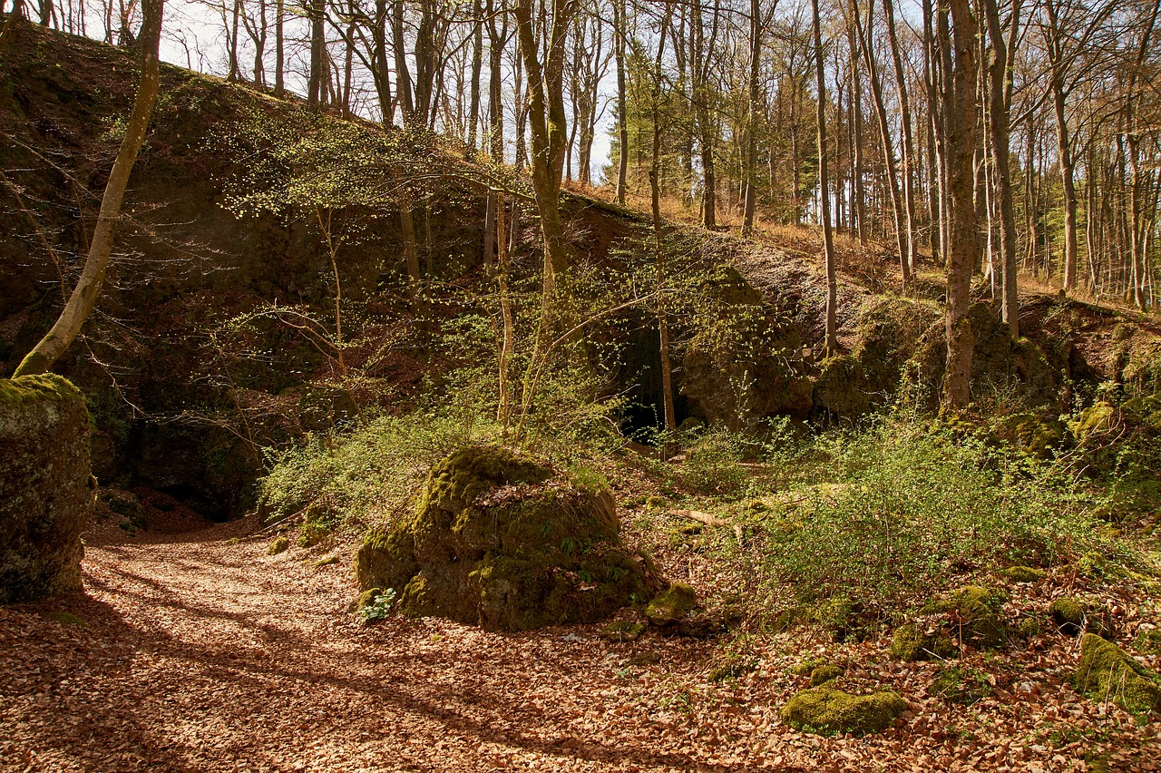 Mediena,  Pobūdį,  Medis,  Kraštovaizdis,  Lapų,  Ledo Urvas Birresborn,  Eifel, Nemokamos Nuotraukos,  Nemokama Licenzija