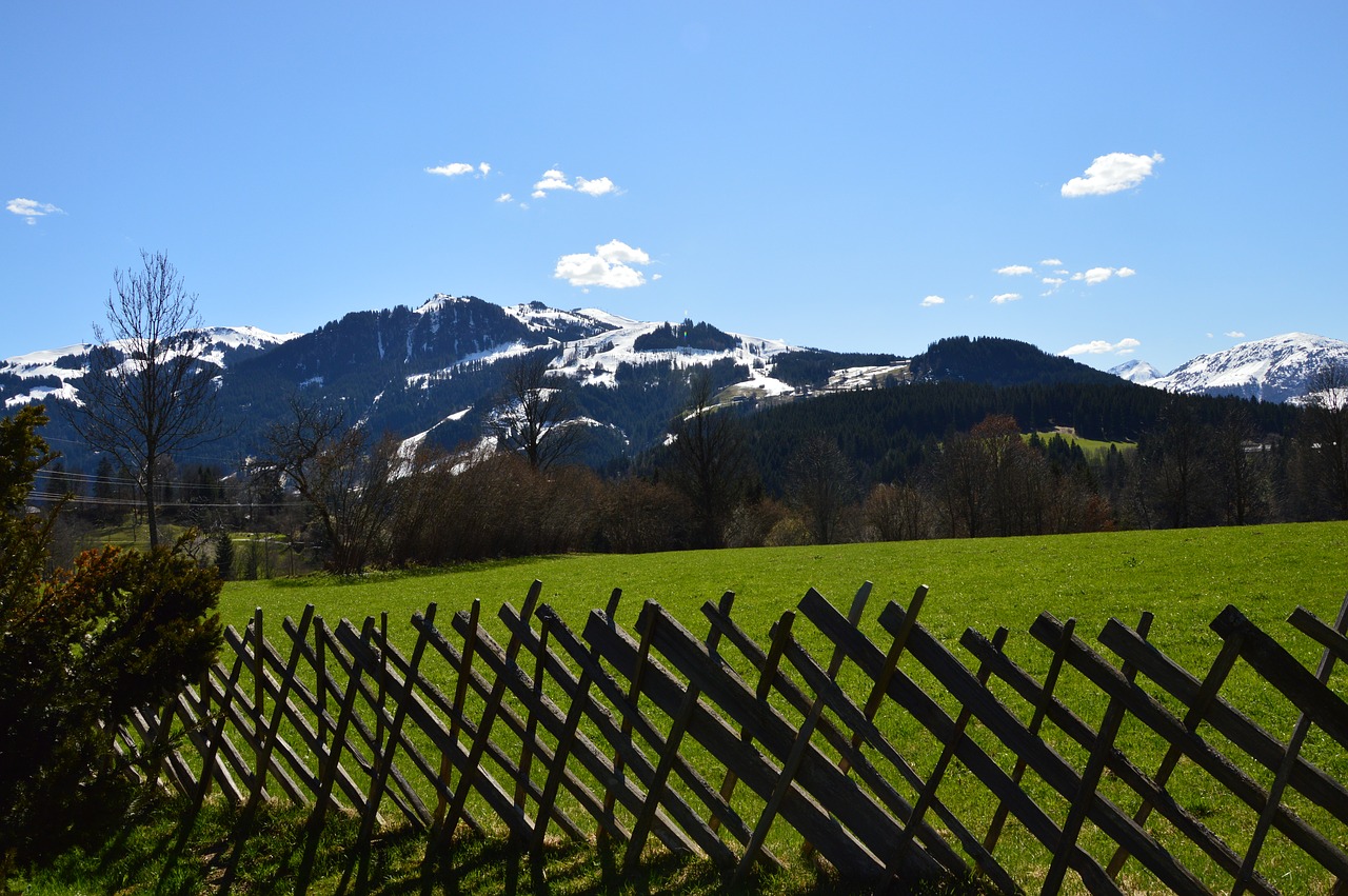 Medžio Tvora, Kitzbühel, Pavasaris, Nemokamos Nuotraukos,  Nemokama Licenzija