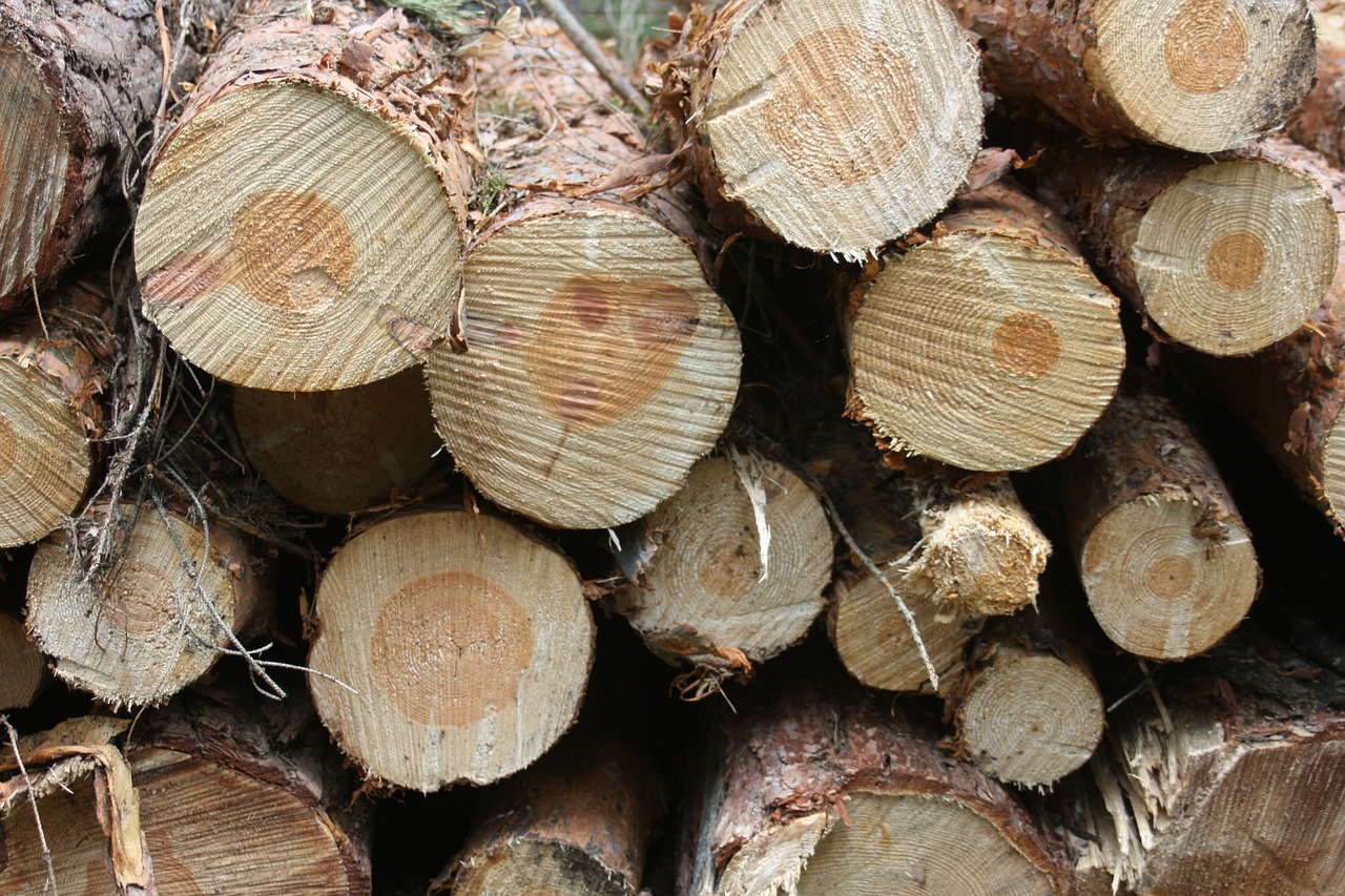 Medžio Lagaminai, Miškininkystė, Apie, Tekstūra, Struktūra, Fonas, Holzstapel, Mediena, Mediena, Medžių Kamienus