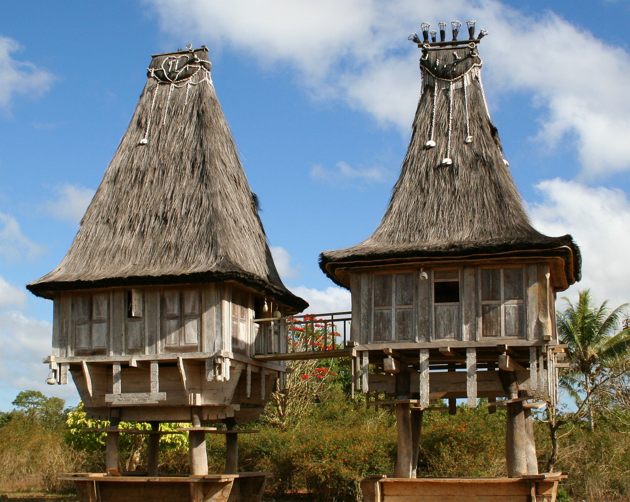 Medinis, Timor-Leste, Tradicinis, Asija, Architektūra, Pastatas, Miestas, Architektūros Dizainas, Struktūra, Namai