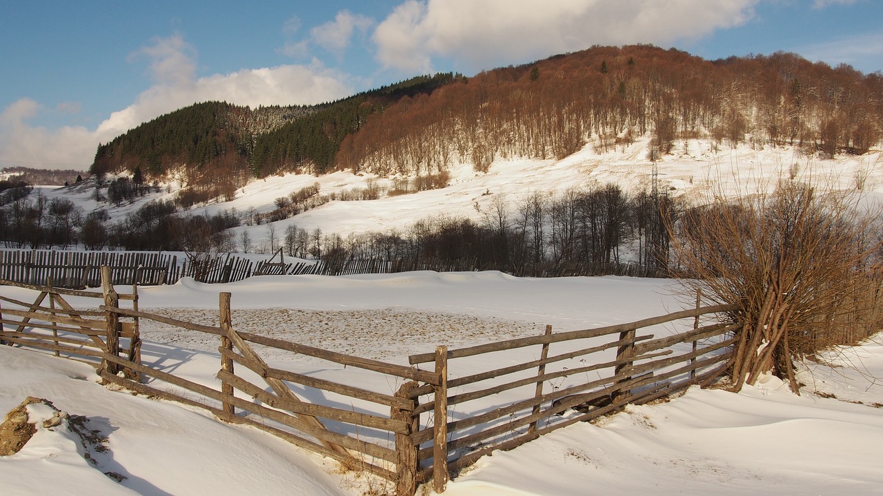 Medinė Tvora, Sniegas, Žiema, Žiemos Miškas, Tvora, Nemokamos Nuotraukos,  Nemokama Licenzija