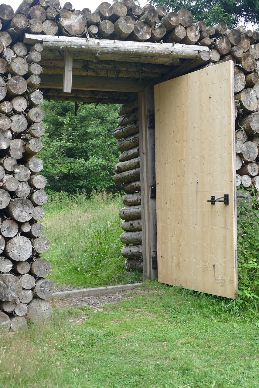 Mediniai Vartai, Durys, Žiūrėdamas, Mitas Kelias, Braunlage, Gamta, Miškas, Mąstymas, Nemokamos Nuotraukos,  Nemokama Licenzija