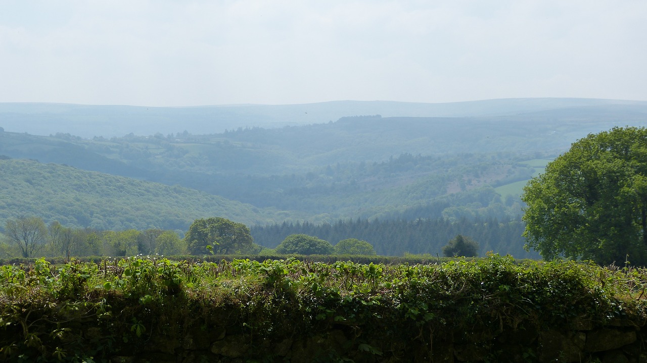 Miškas, Pavasaris, Gamta, Gėlė, Mediena, Pavasaris, Kaimas, Exmoor, Nemokamos Nuotraukos,  Nemokama Licenzija