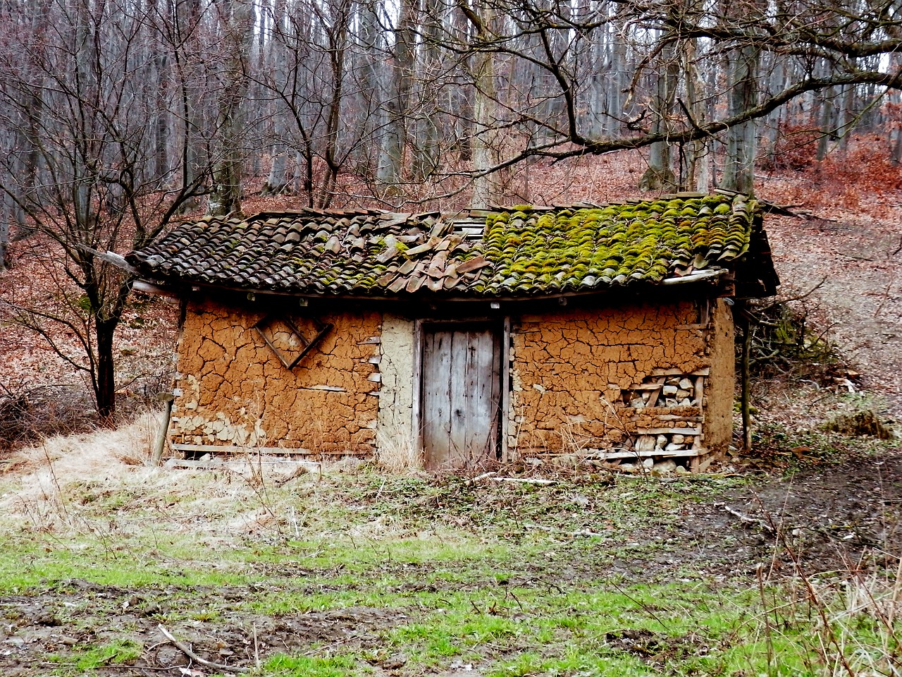 Miškai, Kajutė, Paliktas, Serbija, Retro, Senas Namas, Vintage, Kaimiškas, Būstas, Nemokamos Nuotraukos