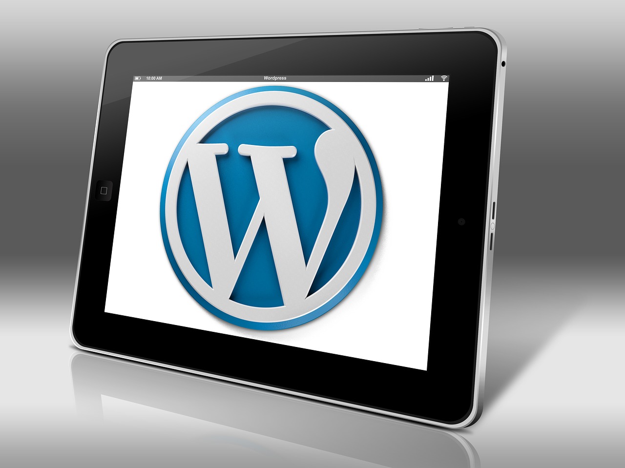 Wordpress, Dienoraščių, Interneto Svetainė, Verslas, Informacija, Nemokamos Nuotraukos,  Nemokama Licenzija