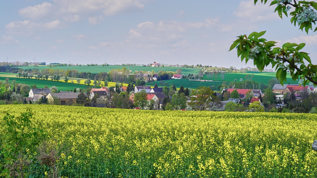 Würchwitz, Gamta, Vaizdas, Kraštovaizdis, Vaizdingas, Oras, Panorama, Žalias, Šviesus, Flora