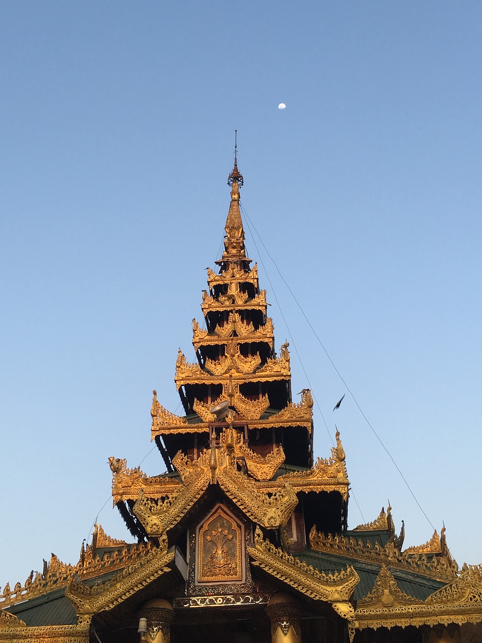 Jangonas, Shwedagon Pagoda, Saulėtos Dienos, Nemokamos Nuotraukos,  Nemokama Licenzija