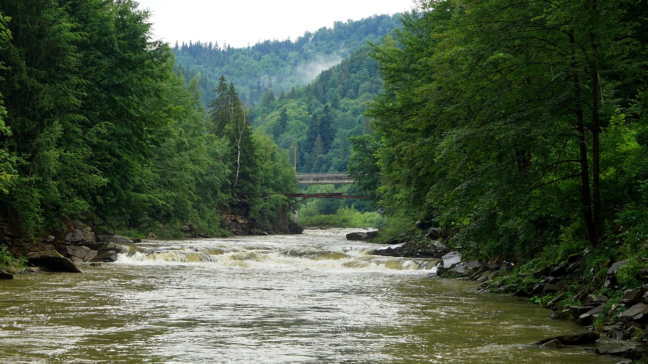 Yaremche,  Kalnų Upė,  Karpatai,  Kraštovaizdis,  Kalnai,  Upė,  Pobūdį,  Akmenys,  Kelionė,  Ukraina