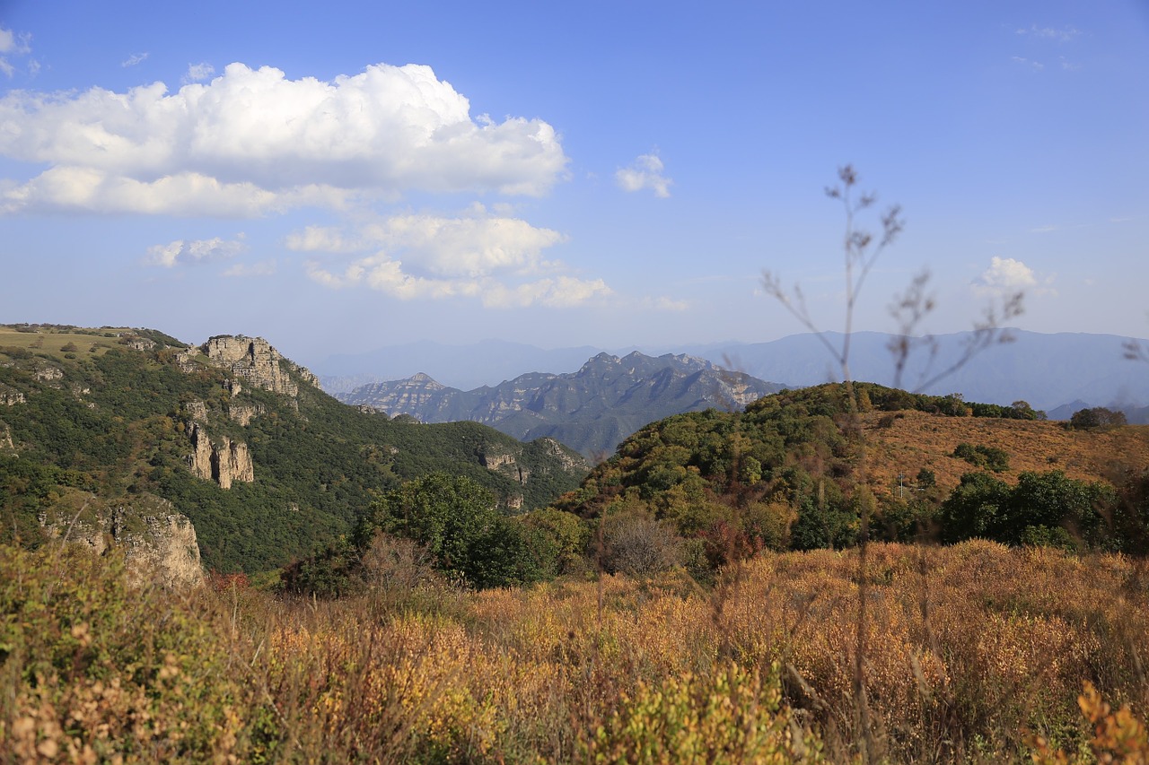 Geltona Žolė, Hillside, Ruduo, Peržiūros, Gamta, Nemokamos Nuotraukos,  Nemokama Licenzija