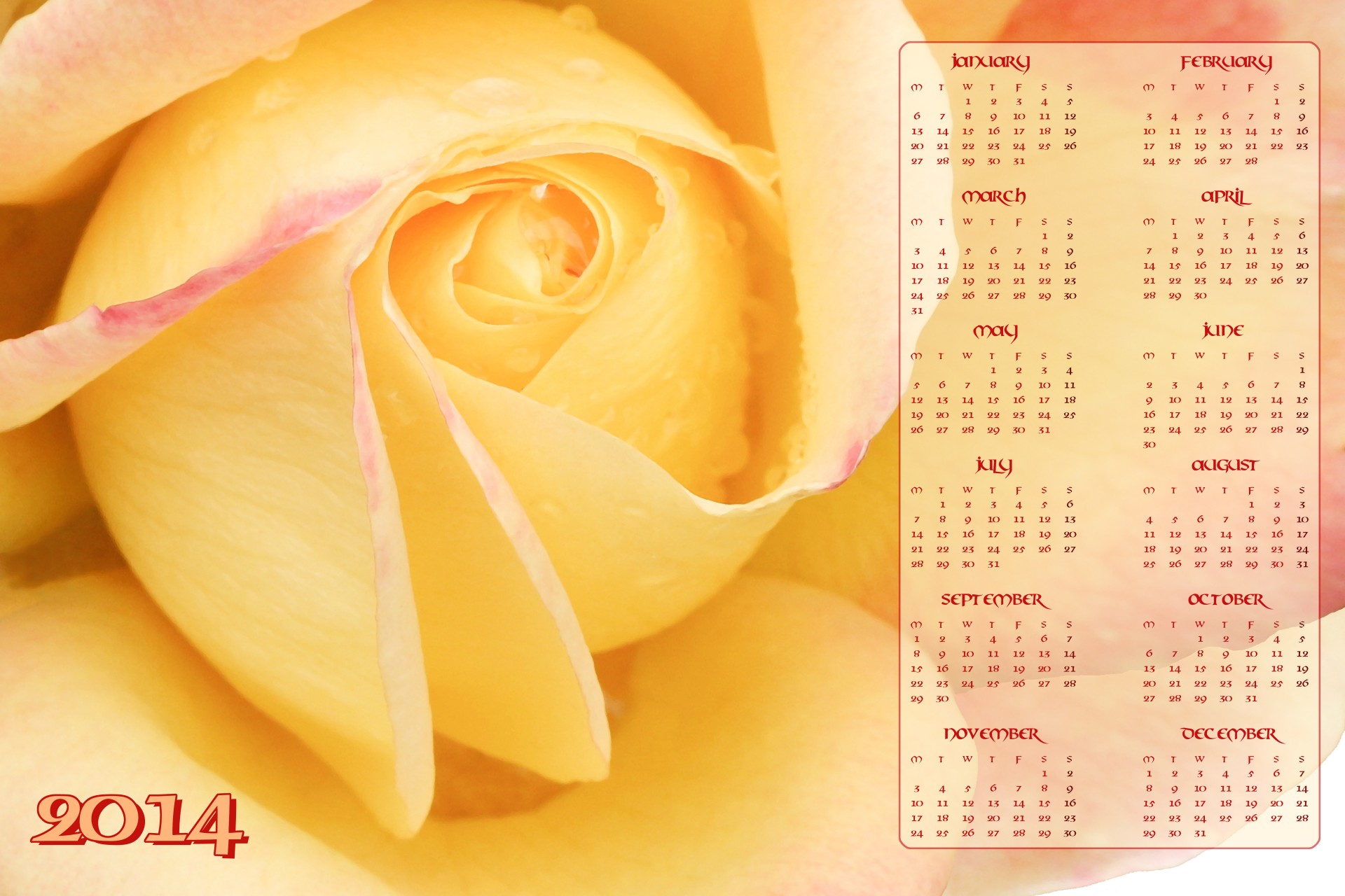 2014,  Kalendorius,  2014 & Nbsp,  Kalendorius,  Gėlė,  Rožė,  Geltona,  Geltona & Nbsp,  Rožė,  Nauji & Nbsp