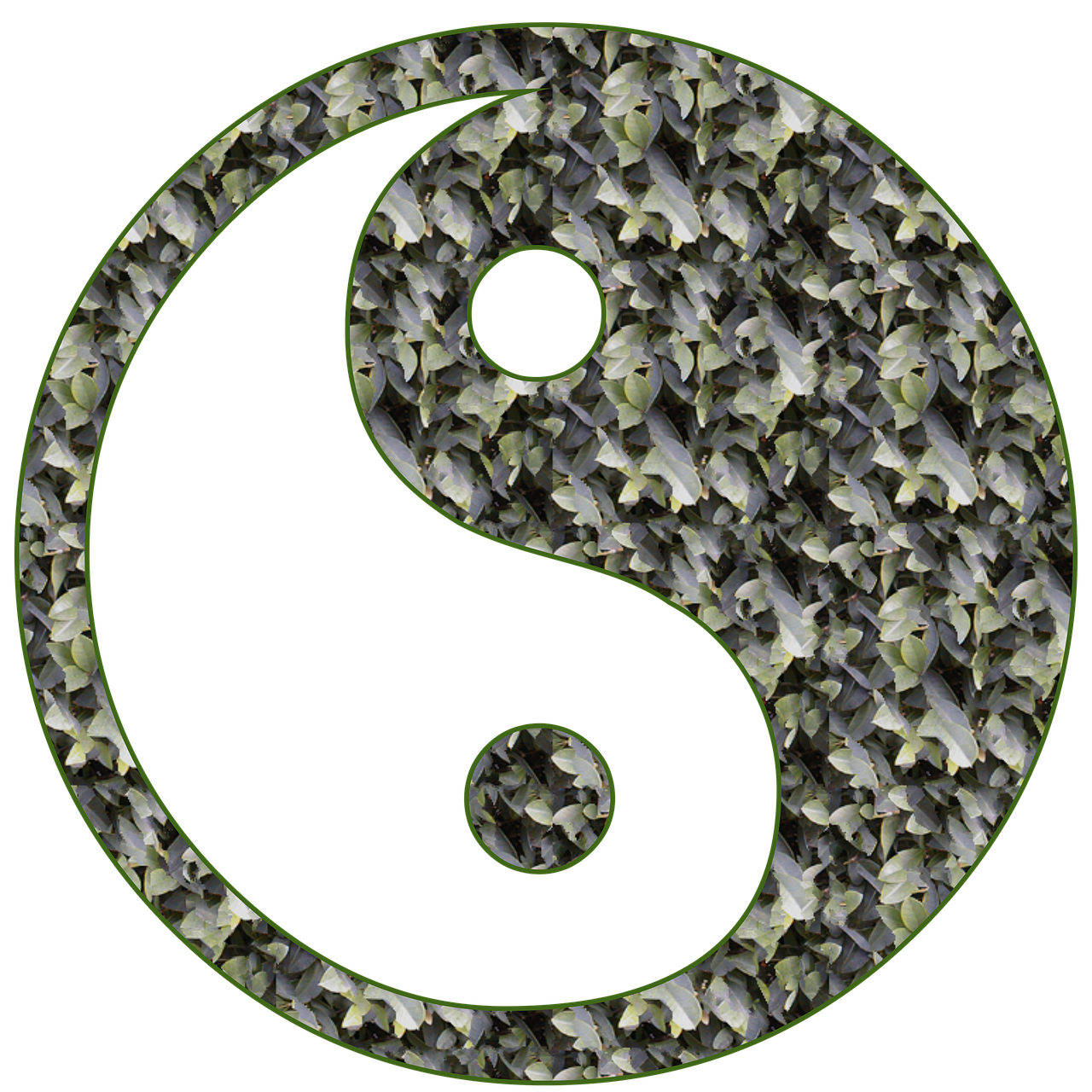 Yin Ir Yang, Yin, Yang, Balansas, Harmonija, Simbolis, Yin Yang, Filosofija, Tao, Zen
