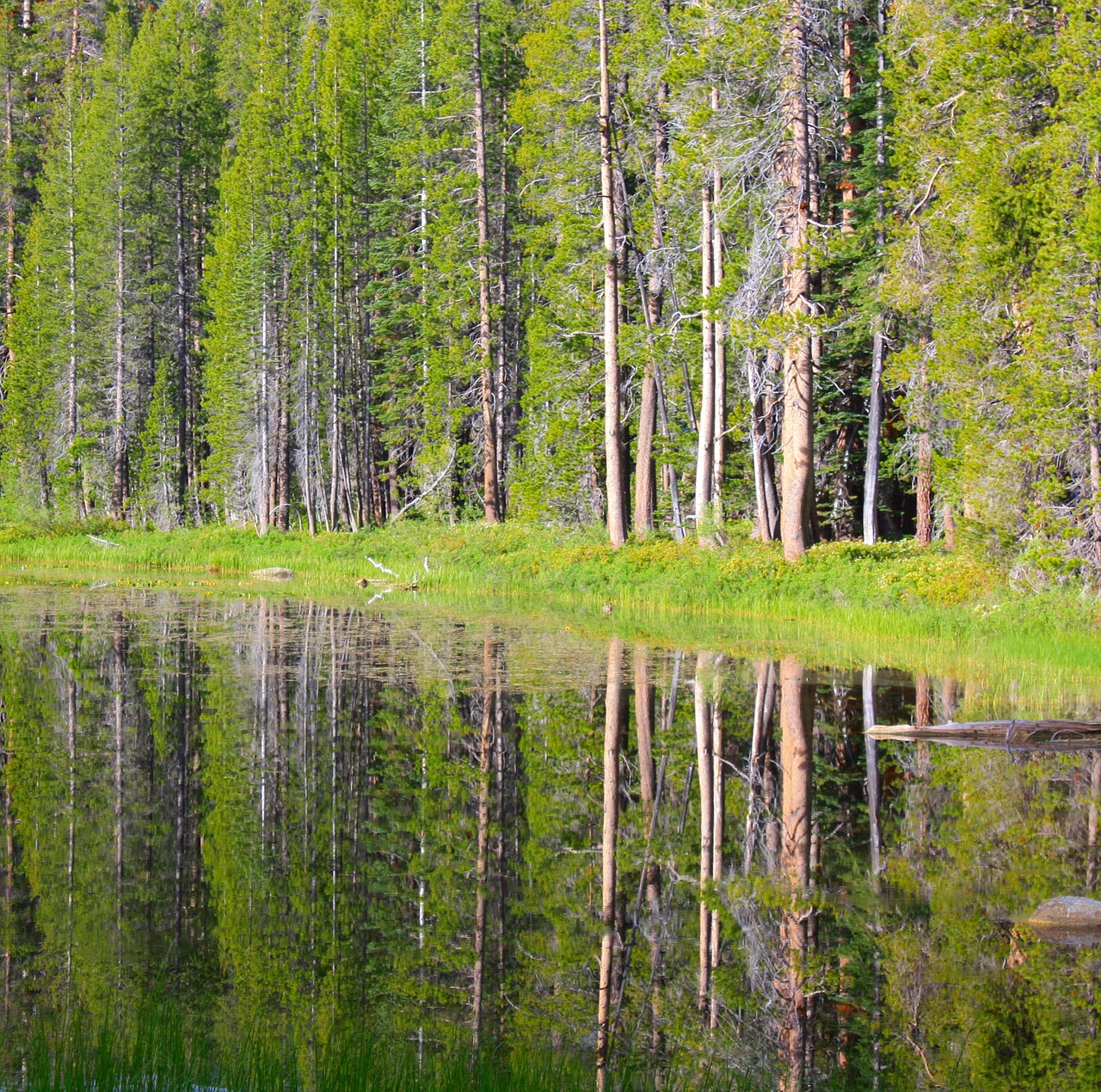 Josemitas, Parc, Kalnas, Jūra, Nemokamos Nuotraukos,  Nemokama Licenzija