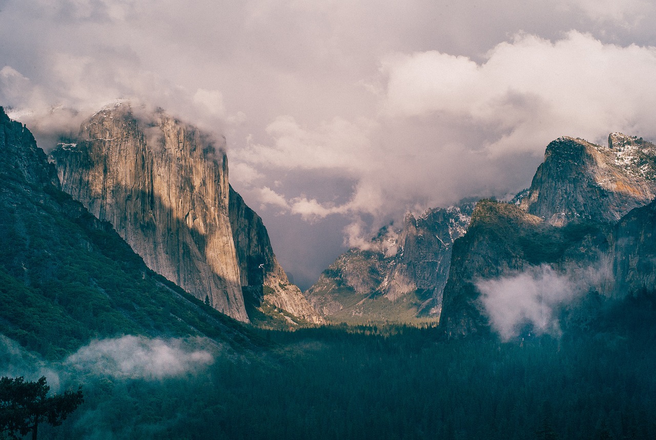 El Capitan, Josemitas, Parkas, Gamta, Nacionalinis, Kalifornija, Miškas, Usa, Vasara, Kalnas