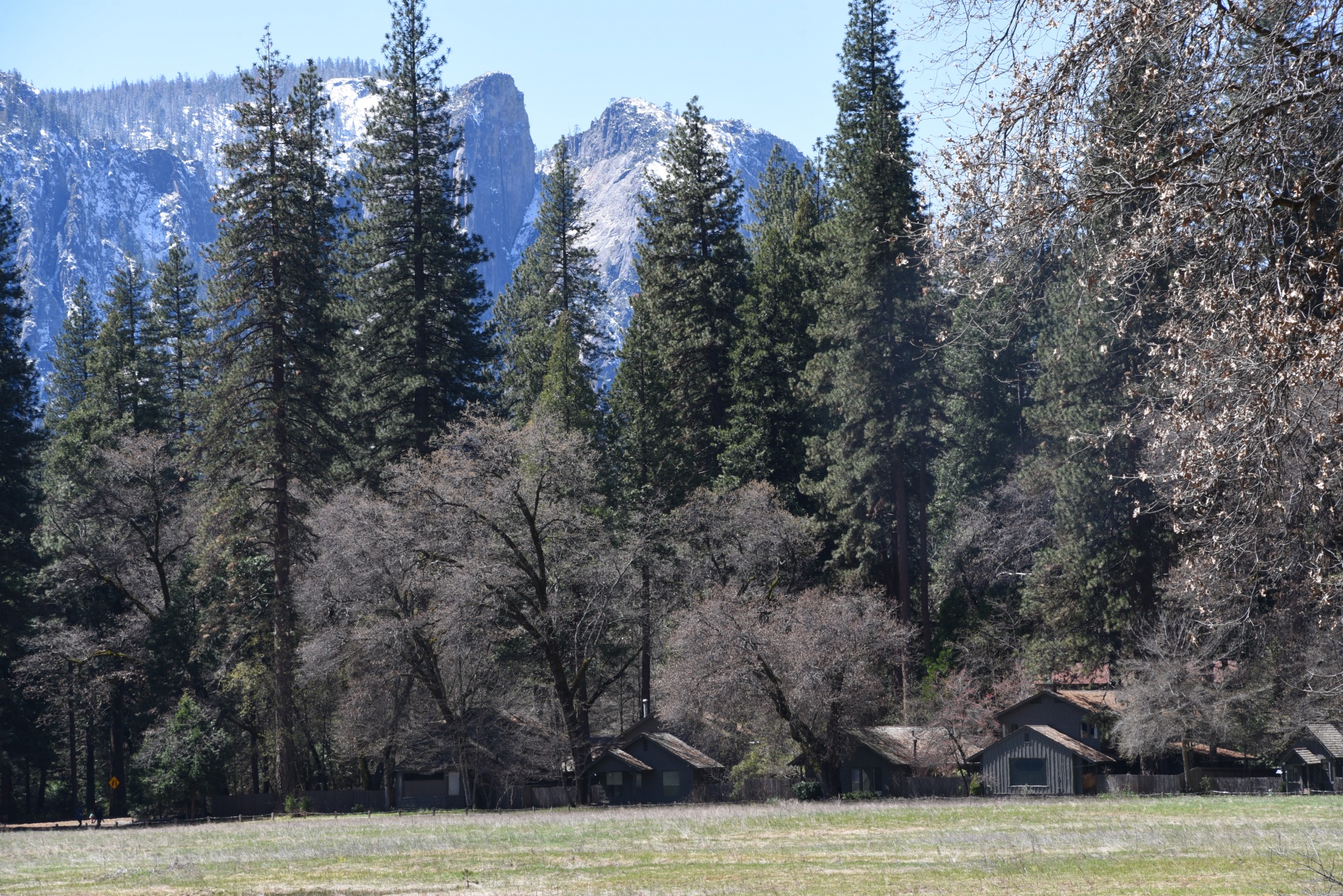 Yosemitas & Nbsp,  Vaizdingas,  Kraštovaizdis,  Medžiai,  Kelionės Tikslas,  Kelionė,  Kalifornija,  Pavasaris,  Josemito Kaimas, Nemokamos Nuotraukos