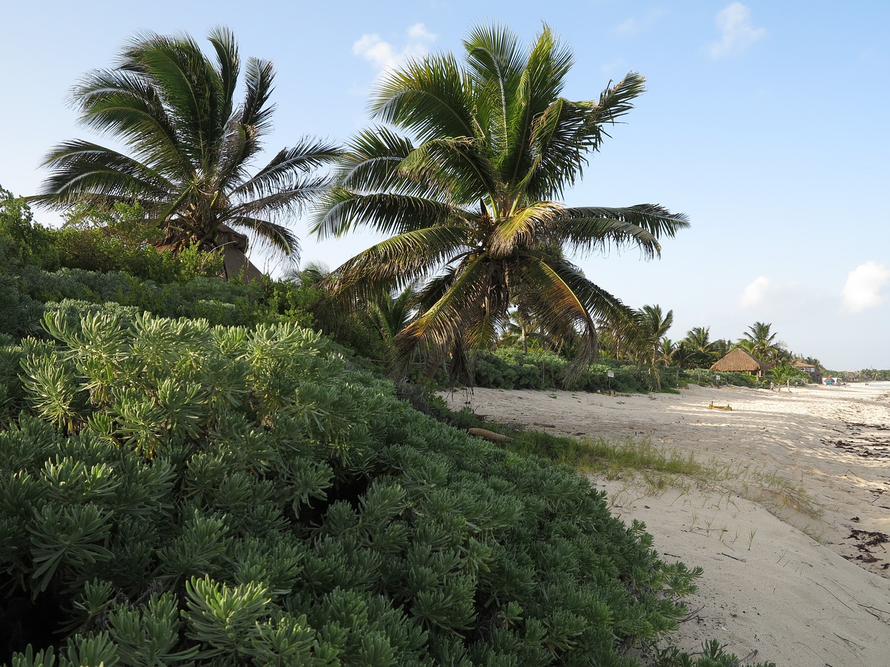 Yukatanas, Delnus, Paplūdimiai, Nemokamos Nuotraukos,  Nemokama Licenzija