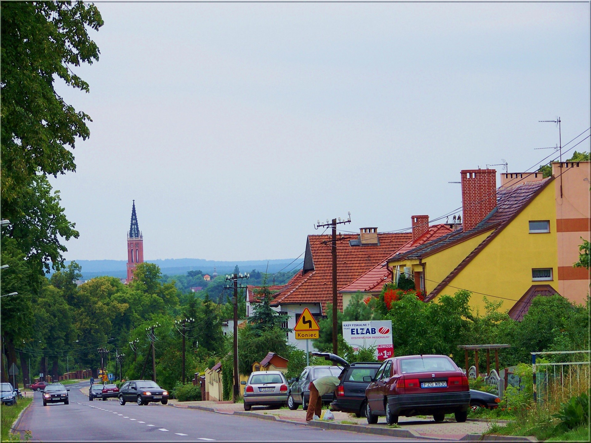 Lenkija,  Zagan,  Bebras,  Kelias,  Panorama,  Vaizdas,  Miestas,  Miestas,  Kaimas,  Zaganas