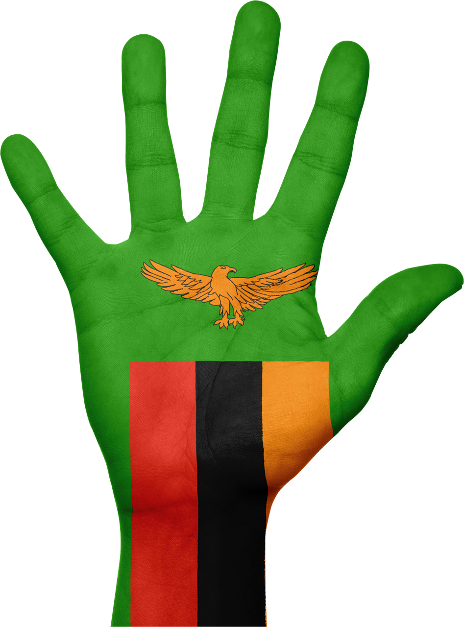 Zambija, Vėliava, Ranka, Nacionalinis, Pirštai, Patriotinis, Nykščiai Aukštyn, Patriotizmas, Afrika, Nemokamos Nuotraukos