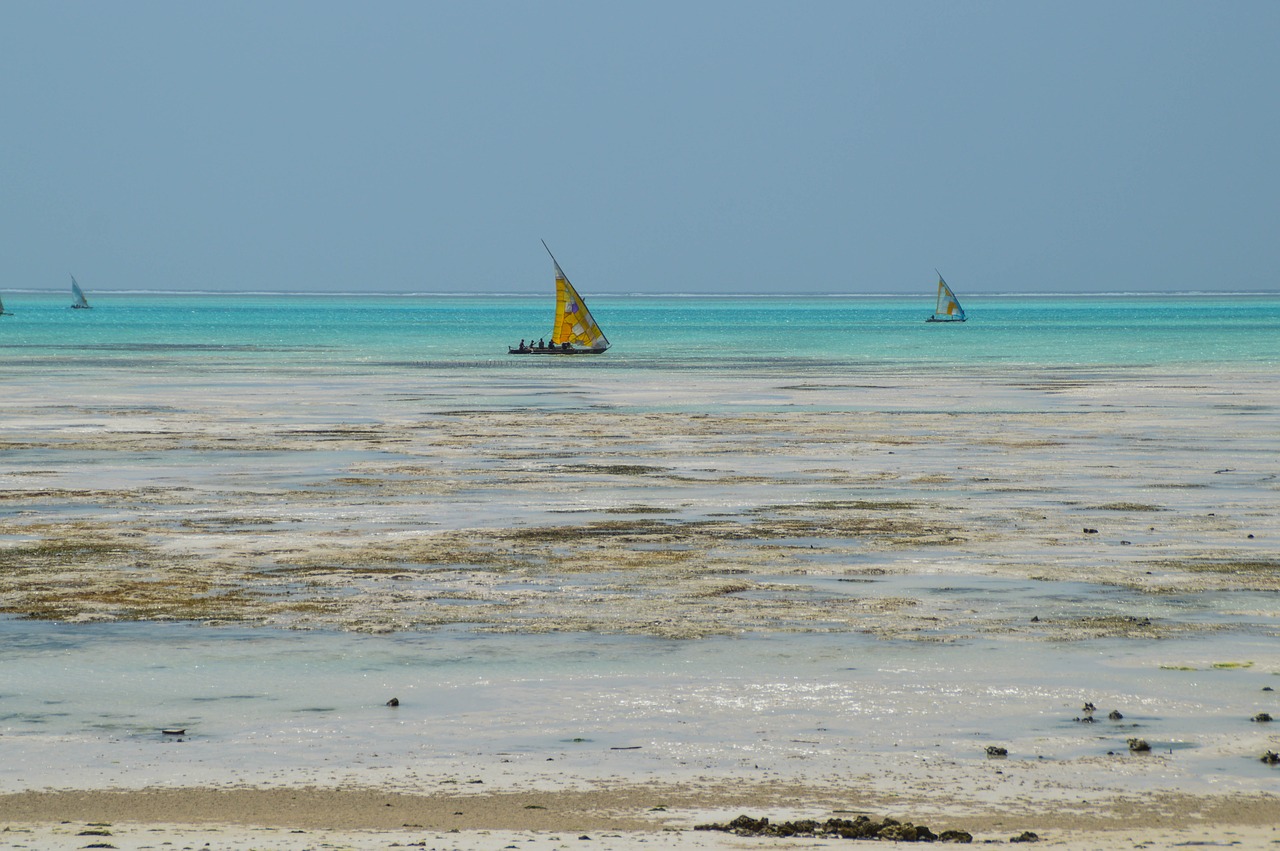 Zanzibaras, Tanzanija, Afrika, Jūra, Vandenynas, Pasaulis, Kelionė, Nemokamos Nuotraukos,  Nemokama Licenzija