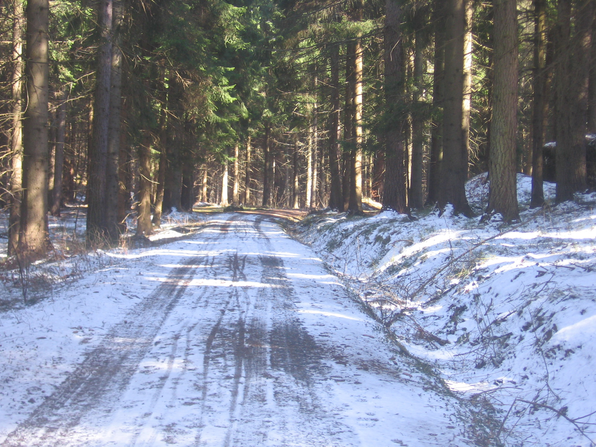 Kelias,  Sniegas,  Medžiai,  Miškas,  Snieguotas Kelias, Nemokamos Nuotraukos,  Nemokama Licenzija