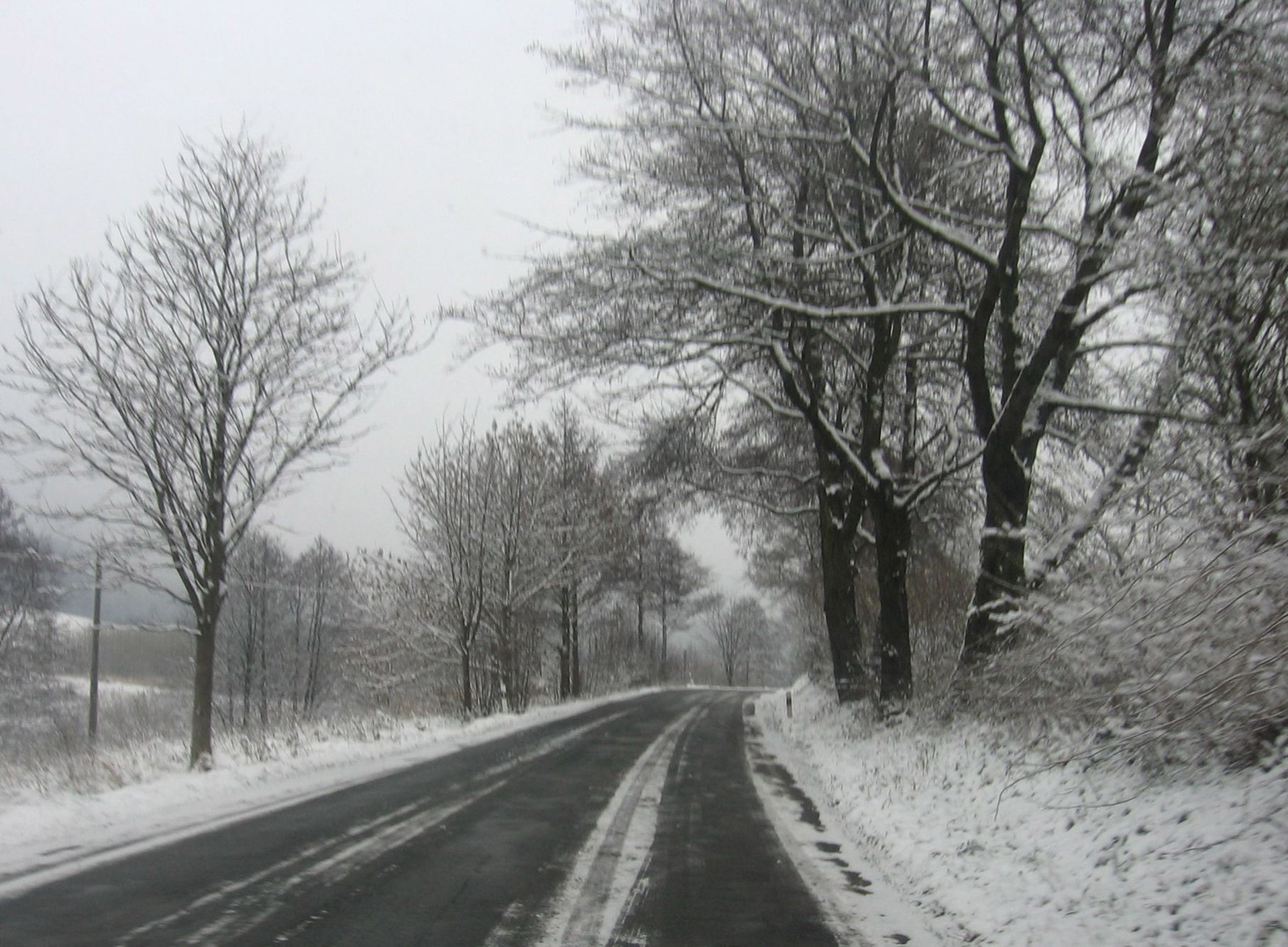 Sniegas,  Keliai,  Medžiai,  Žiema,  Snieguotas Kelias, Nemokamos Nuotraukos,  Nemokama Licenzija