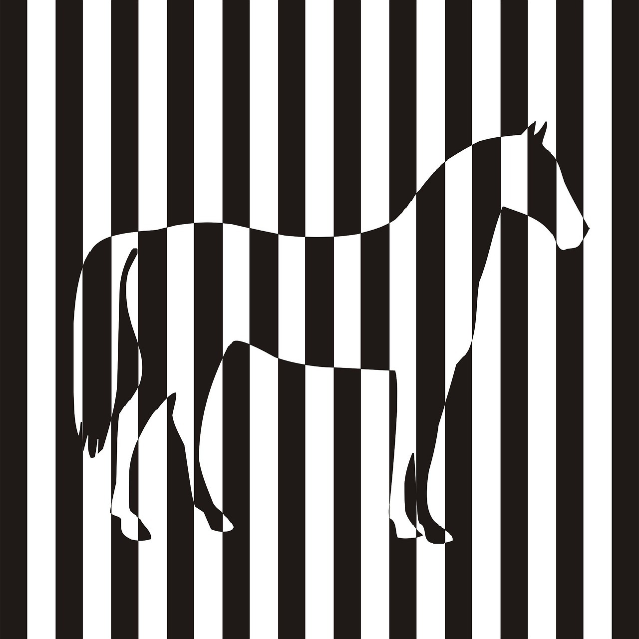 Zebra, Arklys, Vektorinis Gyvūnas, Nemokamos Nuotraukos,  Nemokama Licenzija
