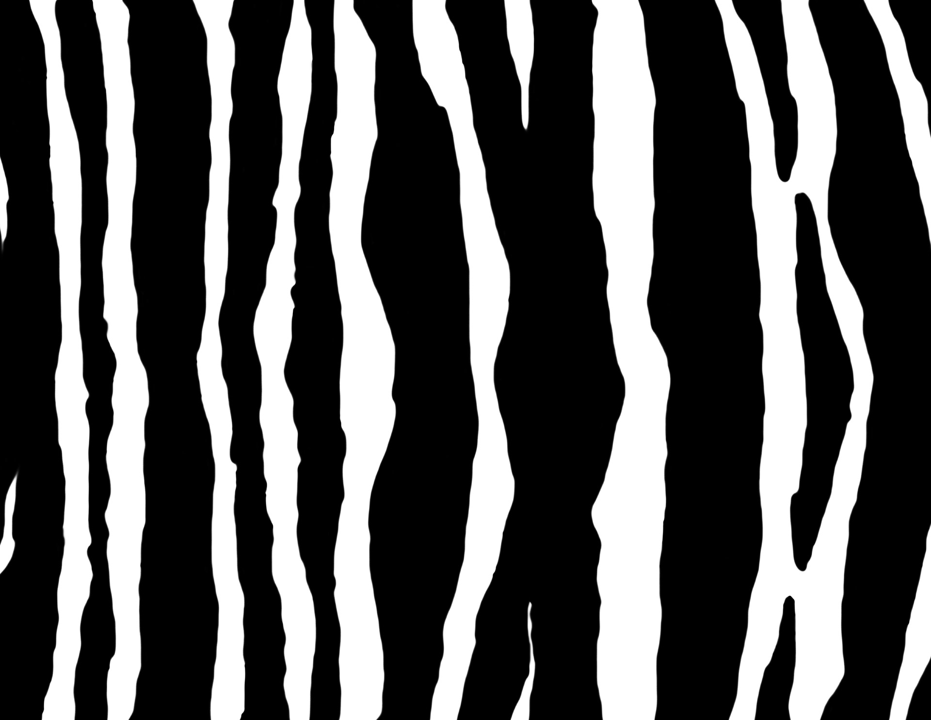 Zebra,  Spausdinti,  Modelis,  Apranga,  Tapetai,  Populiarus,  Iliustracija,  Žinduolis,  Fonas,  Afrika