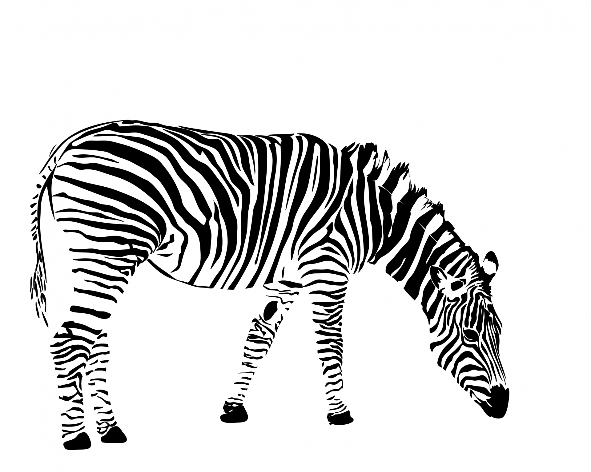 Zebra,  Iliustracija,  Juostelės,  Dryžuotas,  Juoda,  Balta,  Gyvūnas,  Menas,  Scrapbooking,  Laisvas