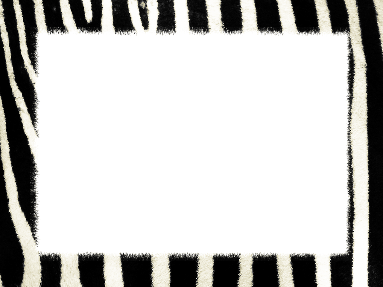 Zebra, Tekstūros Žebras, Gyvūninė Oda, Juostelės, Štampavimas, Oda, Gyvūnas, Modelis, Nemokamos Nuotraukos,  Nemokama Licenzija