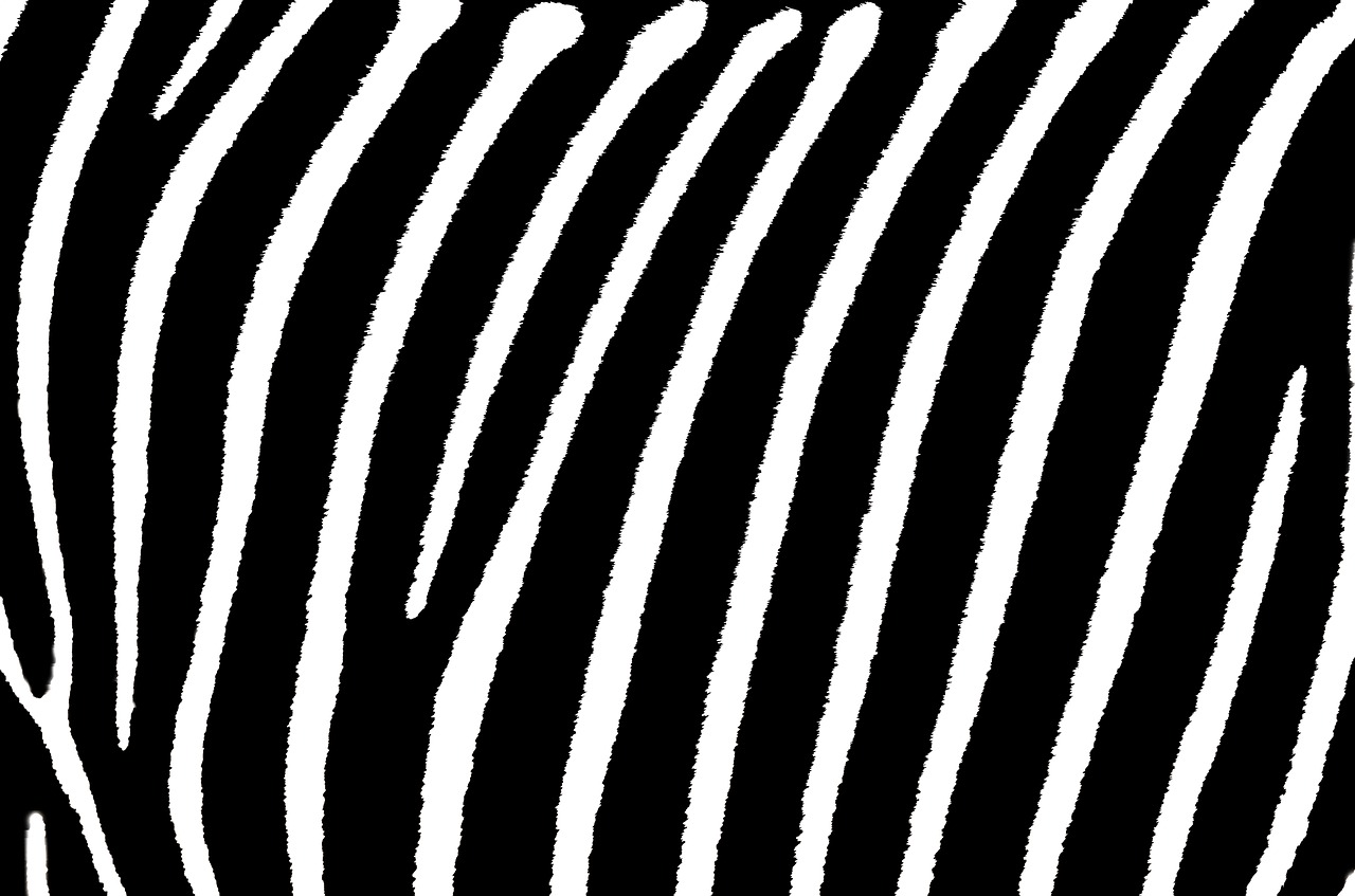 Zebra, Juostelės, Balta, Modelis, Juoda, Spausdinti, Dizainas, Linijos, Mada, Dryžuotas