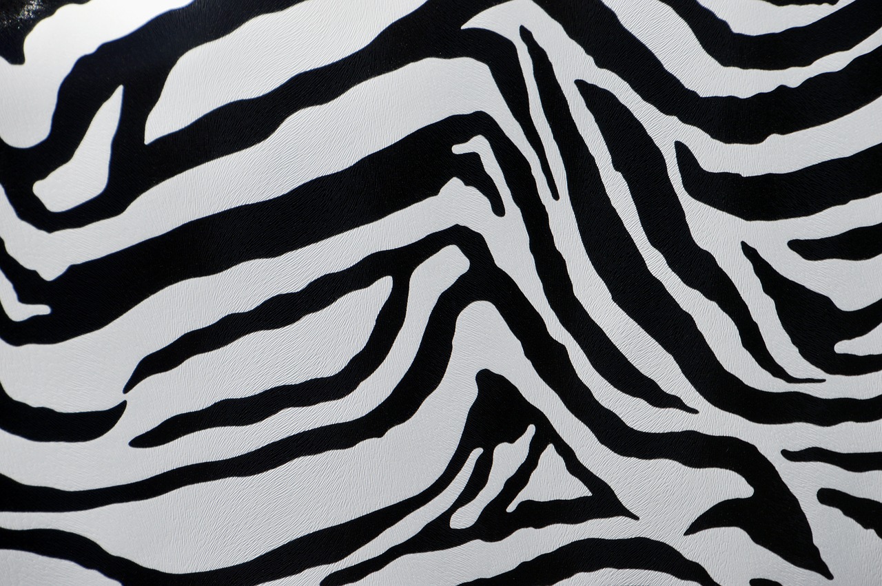 Zebra,  Kamufliažas,  Modelis,  Kailiai,  Nemokama Iliustracijos, Nemokamos Nuotraukos,  Nemokama Licenzija