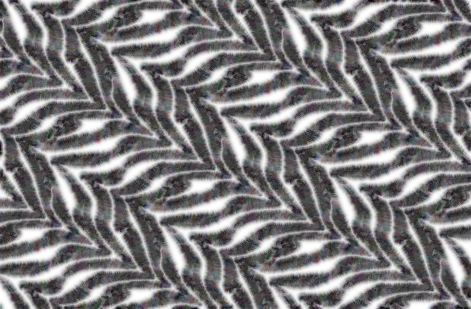 Zebra,  Modelis,  Kailis,  Dryžuotas,  Fonas,  Tekstūra,  Zebras Kailio Fonas, Nemokamos Nuotraukos,  Nemokama Licenzija