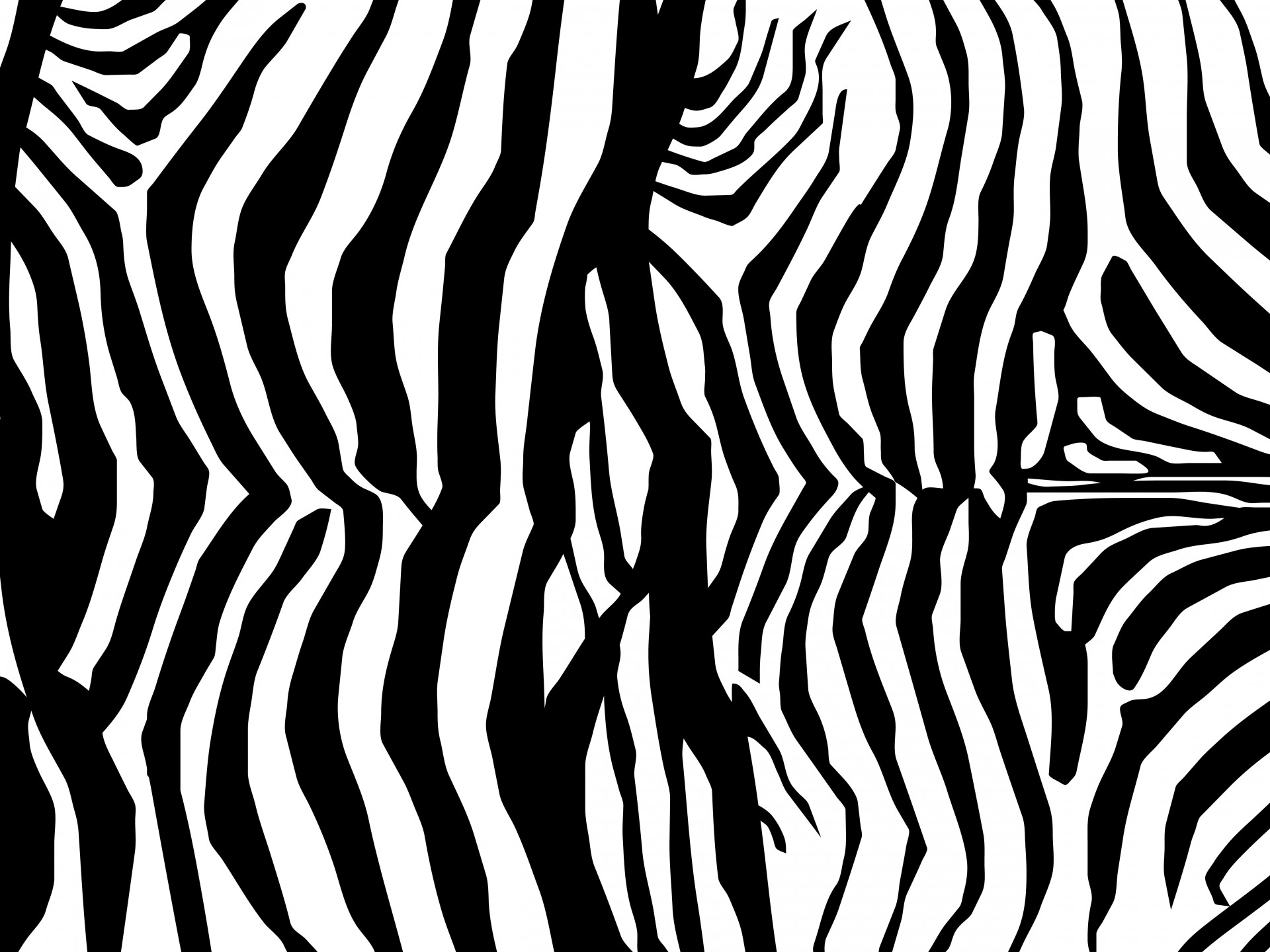 Zebra & Nbsp,  Oda,  Zebra,  Oda,  Spausdinti,  Modelis,  Tapetai,  Fonas,  Scrapbooking,  Juostelės