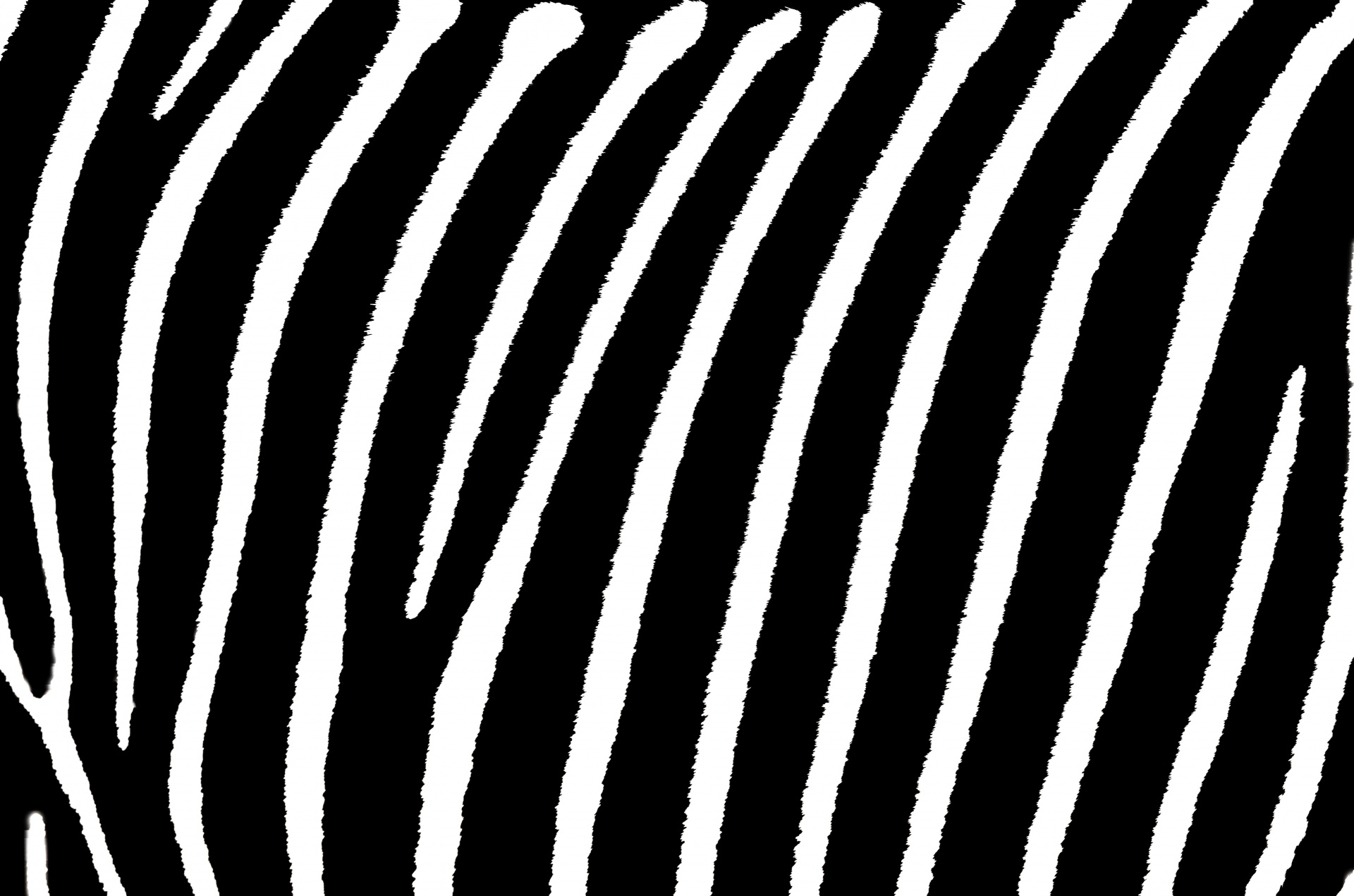 Zebra,  Juostelės,  Dryžuotas,  Zebra & Nbsp,  Juostelės,  Fonas,  Tapetai,  Popierius,  Juoda,  Balta