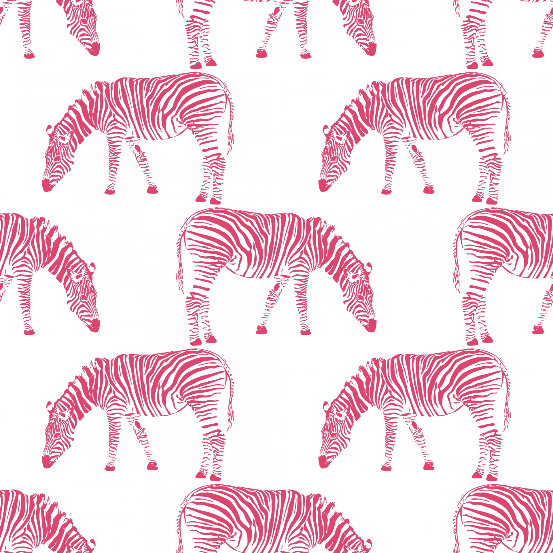 Zebra,  Zebras,  Fonas,  Tapetai,  Popierius,  Modelis,  Dizainas,  Besiūliai,  Rožinis,  Balta