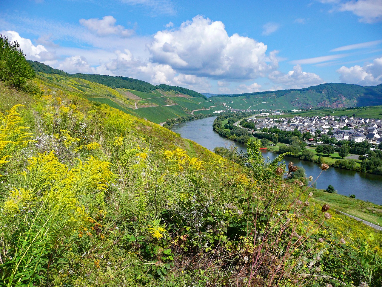 Zeltingen, Mosel, Sachsen, Vokietija, Vynas, Vynuogynai, Kraštovaizdis, Kaimas, Upė, Šventė