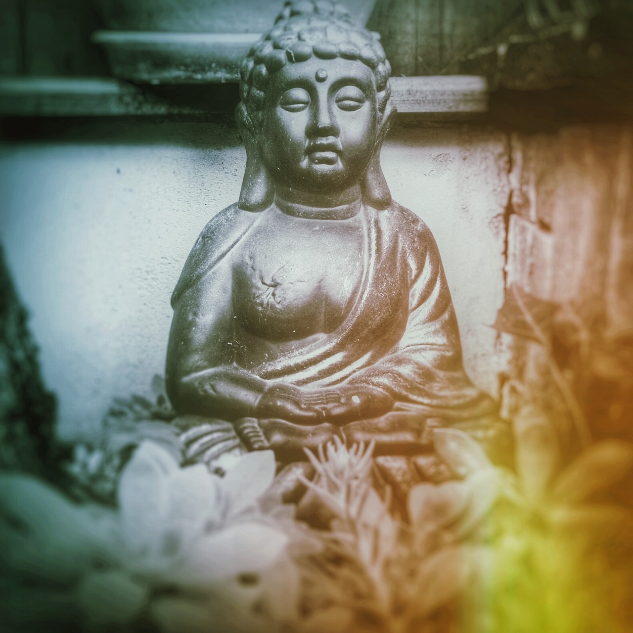 Zen, Meditacija, Buda, Nemokamos Nuotraukos,  Nemokama Licenzija
