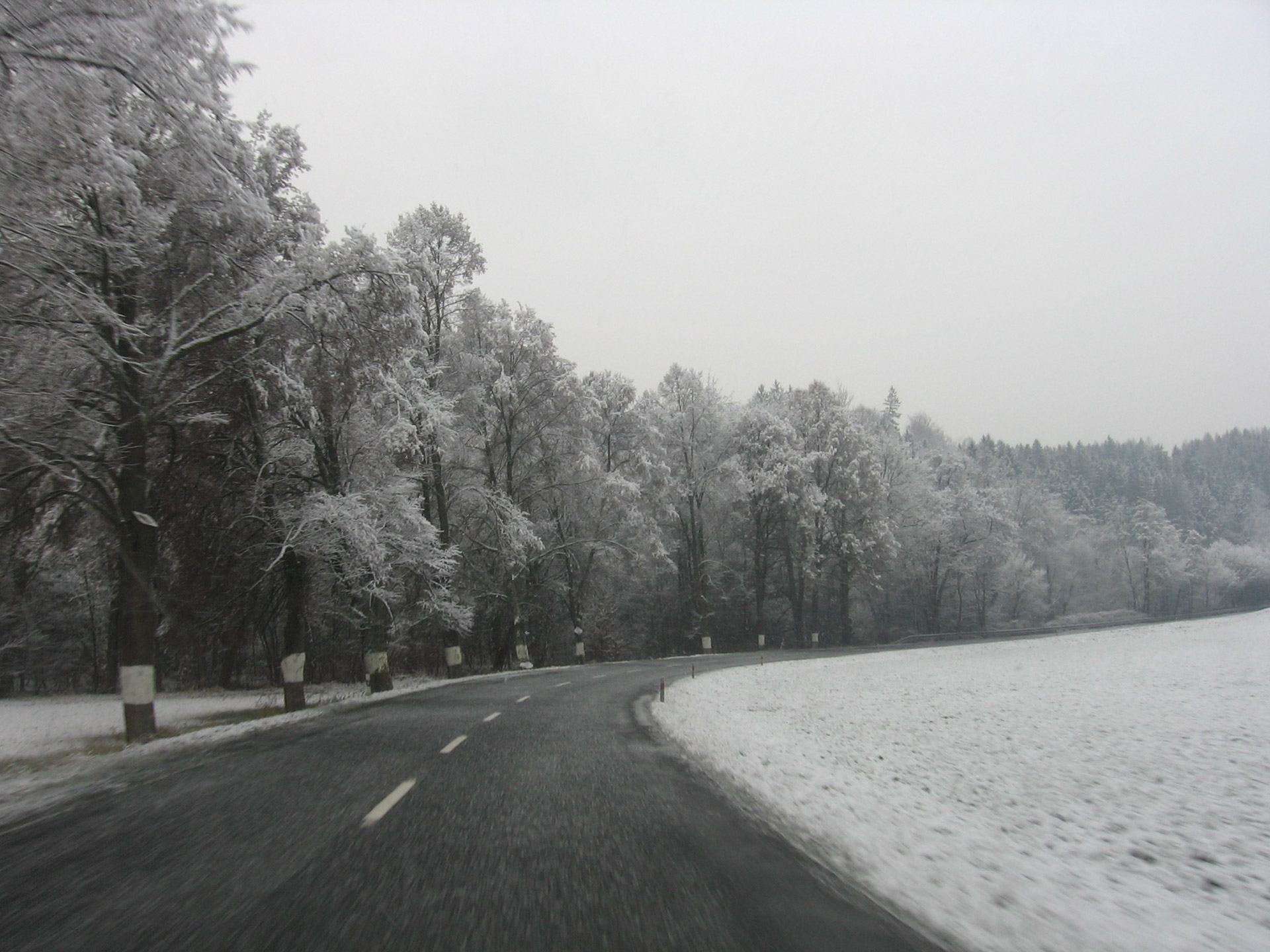 Kelias,  Žiema,  Medžiai,  Sniegas,  Žiemos Kelias, Nemokamos Nuotraukos,  Nemokama Licenzija