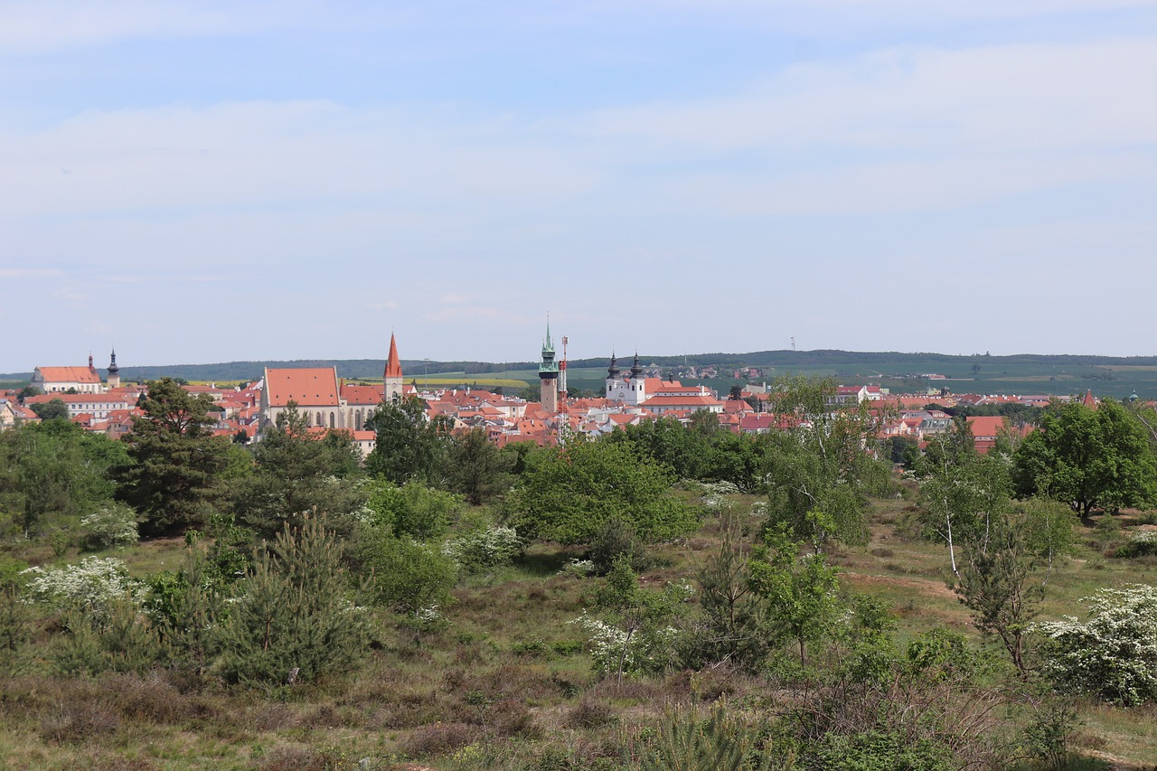 Znojmo,  Pavasaris,  Meadow,  Gėlės,  Pobūdį,  Moravija,  Čekija,  Kraštovaizdis, Nemokamos Nuotraukos,  Nemokama Licenzija