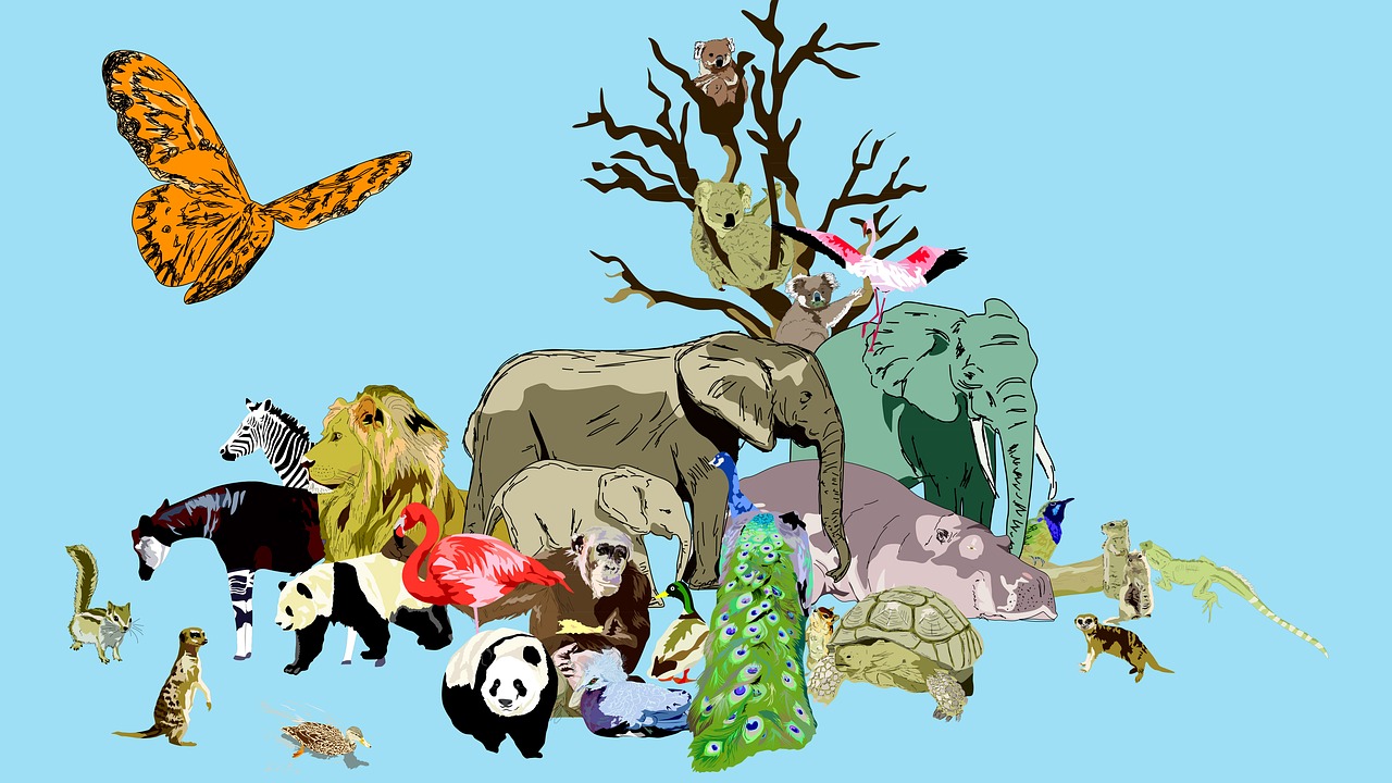 Zoo,  Gyvūnai,  Povas,  Liūtas,  Hippo,  Drugelis,  Koala,  Dramblys,  Panda,  Beždžionė