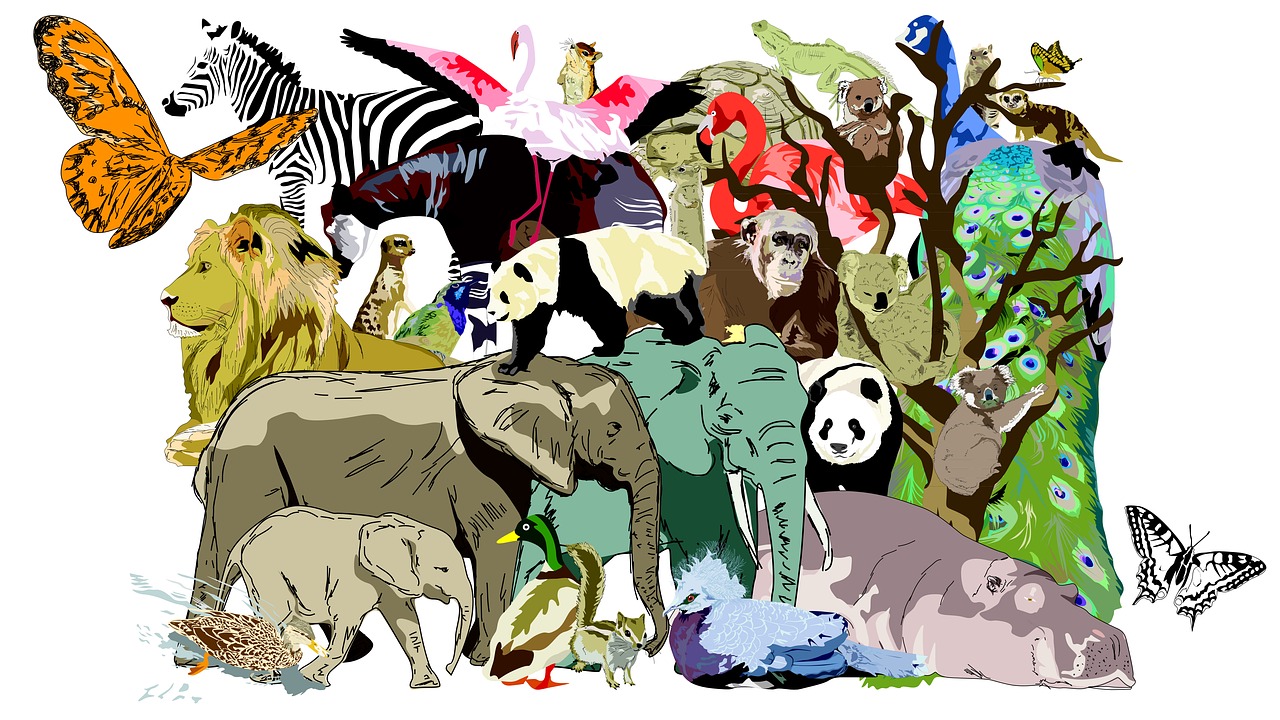 Zoo,  Gyvūnai,  Povas,  Liūtas,  Hippo,  Drugelis,  Koala,  Dramblys,  Panda,  Beždžionė